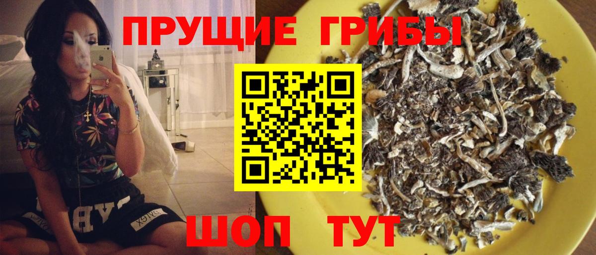 Псилоцибиновые грибы MAGIC MUSHROOMS  где продают наркотики  Вязники  Вход с VPN 